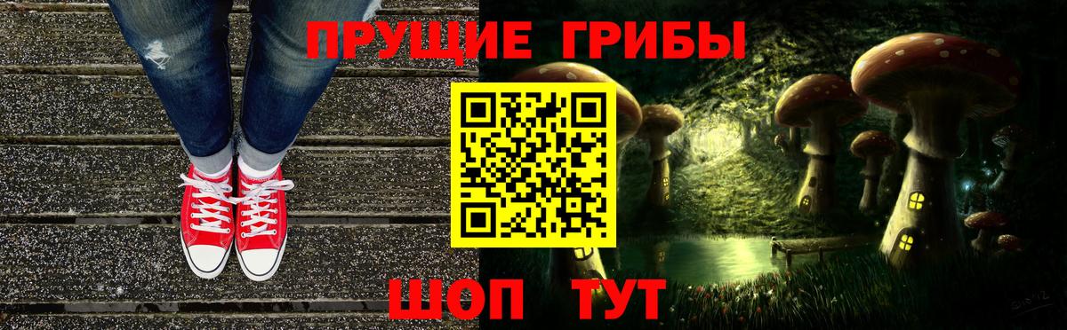 Галлюциногенные грибы Psilocybine cubensis  цена   Гатчина  Вход с VPN  Псилоцибиновые грибы ЛСД 