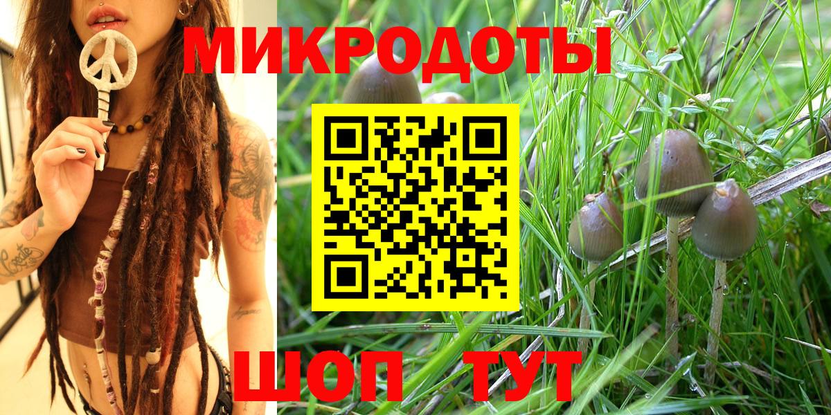 Псилоцибиновые грибы ЛСД Гатчина